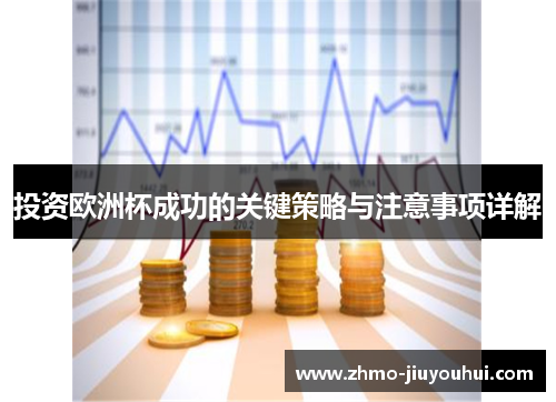 投资欧洲杯成功的关键策略与注意事项详解 投资欧洲杯成功的关键策略与注意事项详解