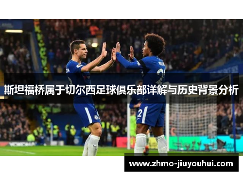 斯坦福桥属于切尔西足球俱乐部详解与历史背景分析