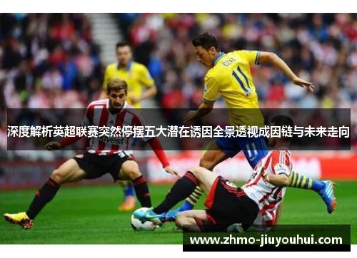 深度解析英超联赛突然停摆五大潜在诱因全景透视成因链与未来走向 深度解析英超联赛突然停摆五大潜在诱因全景透视成因链与未来走向