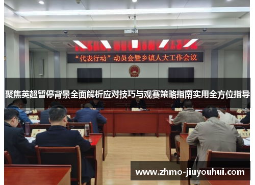 聚焦英超暂停背景全面解析应对技巧与观赛策略指南实用全方位指导 聚焦英超暂停背景全面解析应对技巧与观赛策略指南实用全方位指导